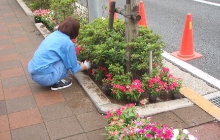 植栽(景観美化)活動の様子